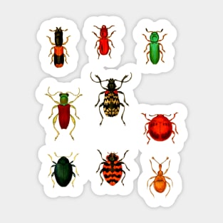 Beetle Bugs Pack Sticker